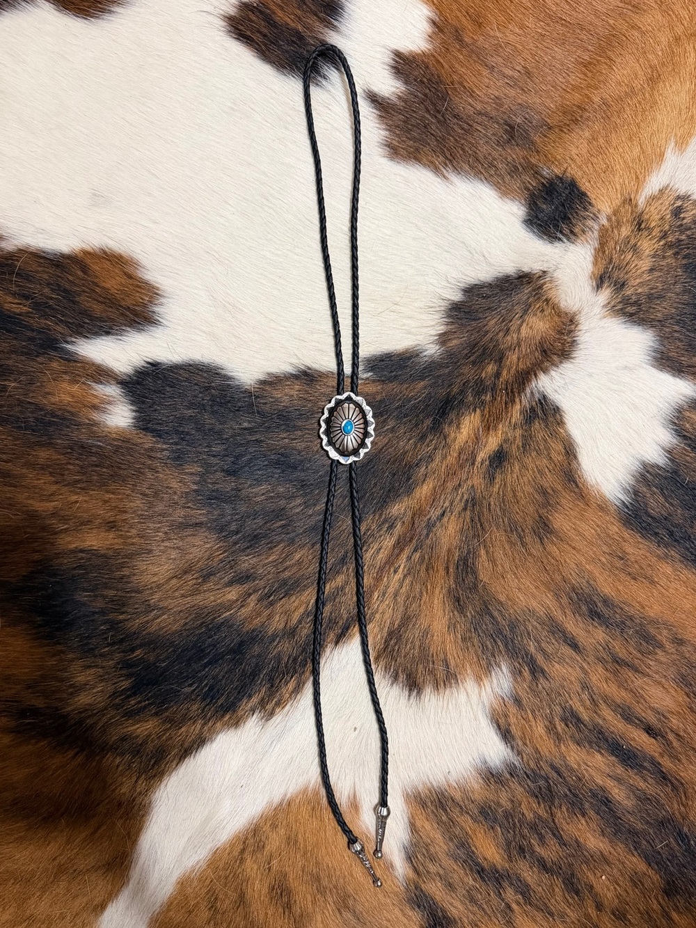Bolo
